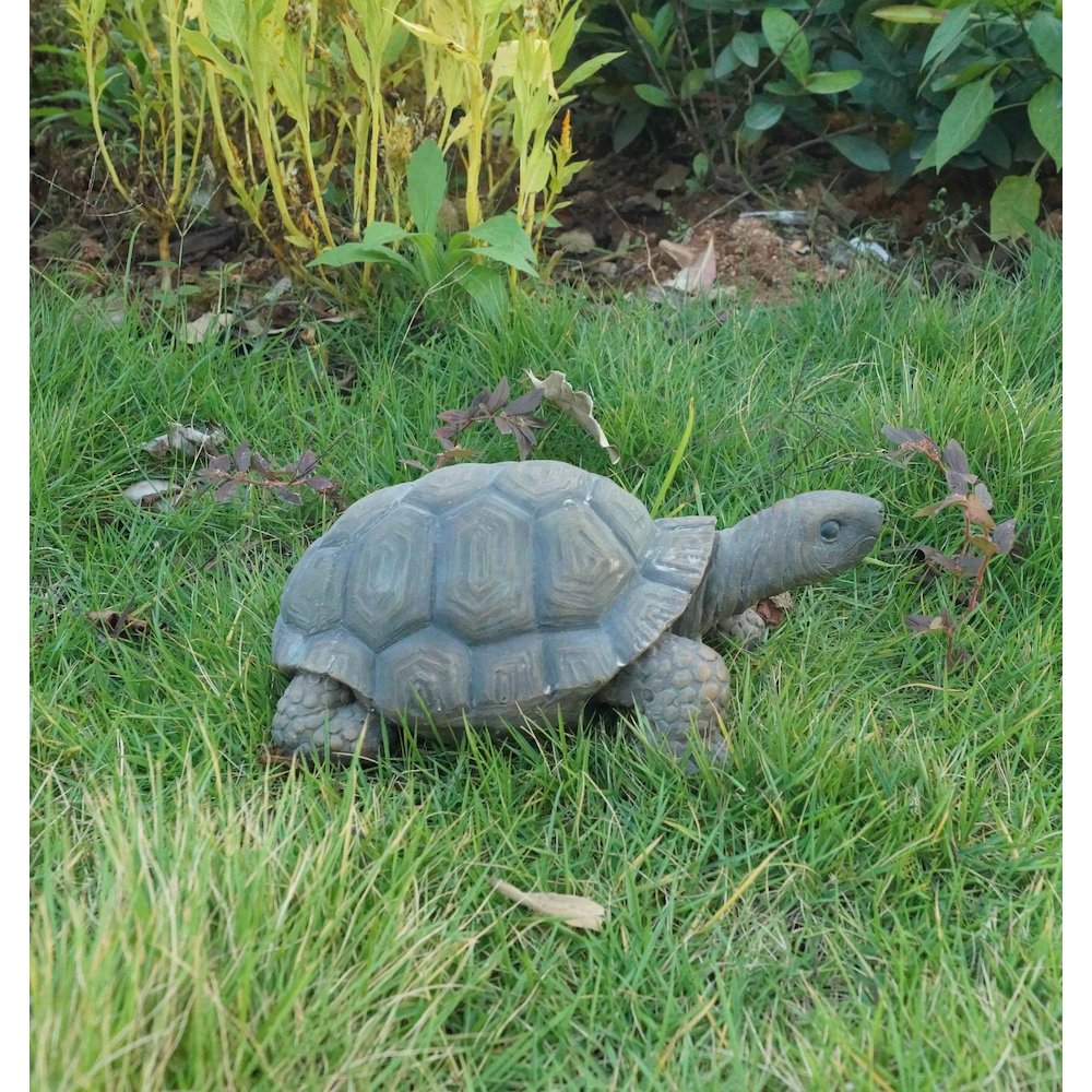 Turtle 10 Inch