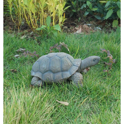 Turtle 10 Inch