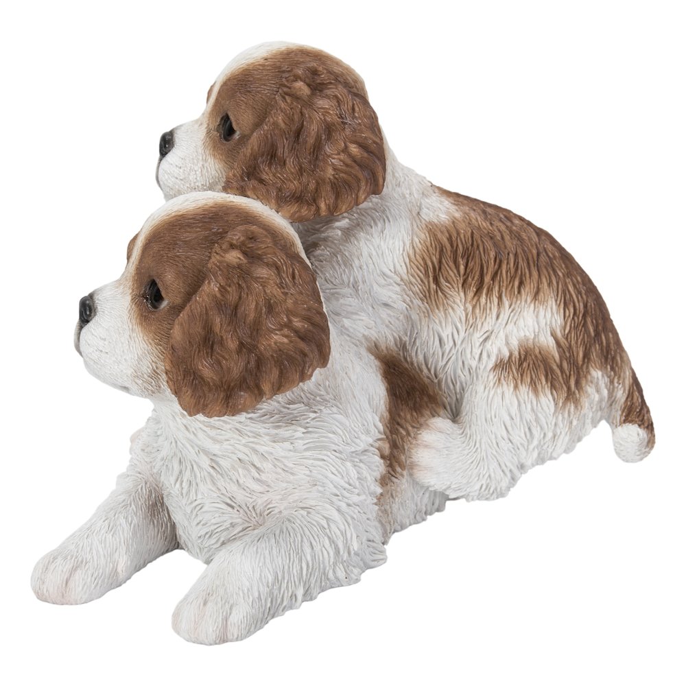 King Charles Puppies Sitting