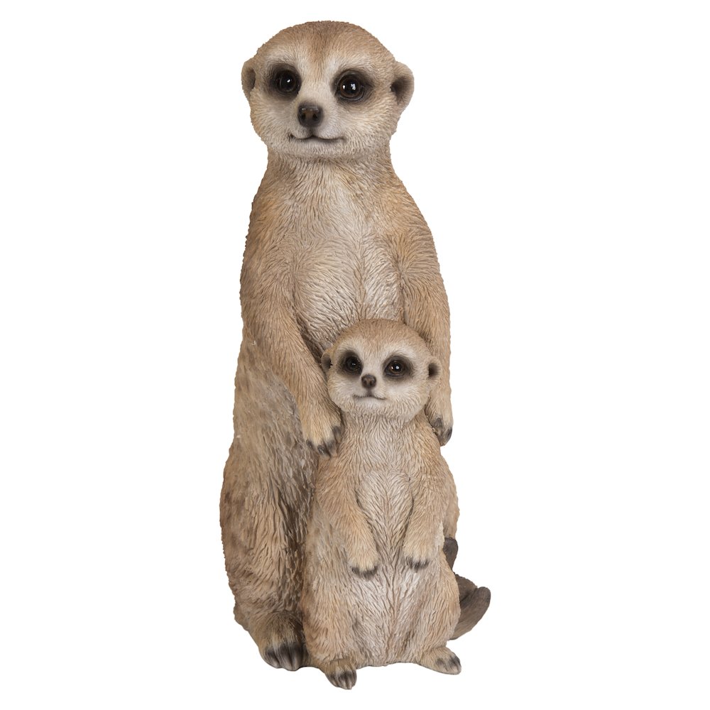 Small Mother & Baby Meerkat
