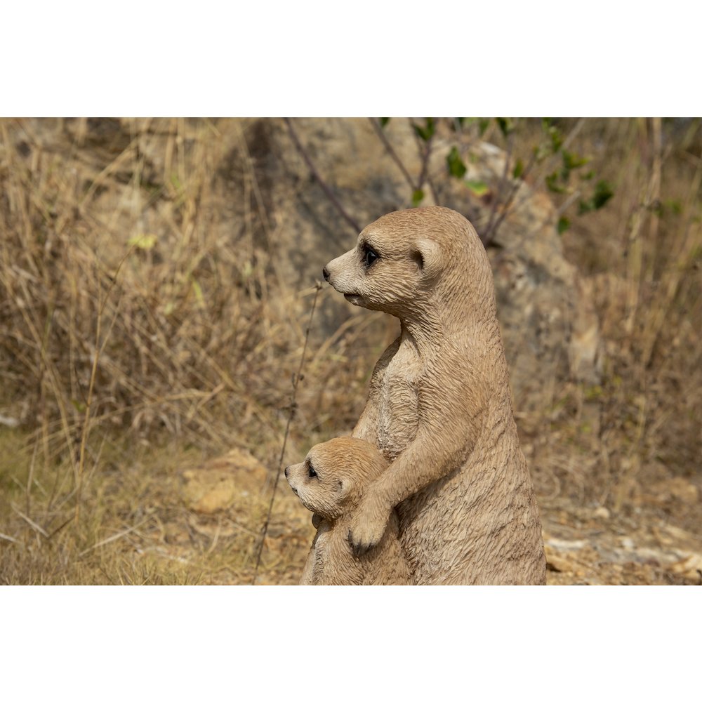 Small Mother & Baby Meerkat