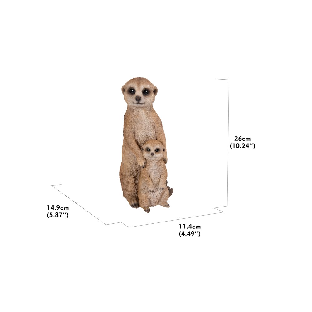 Small Mother & Baby Meerkat