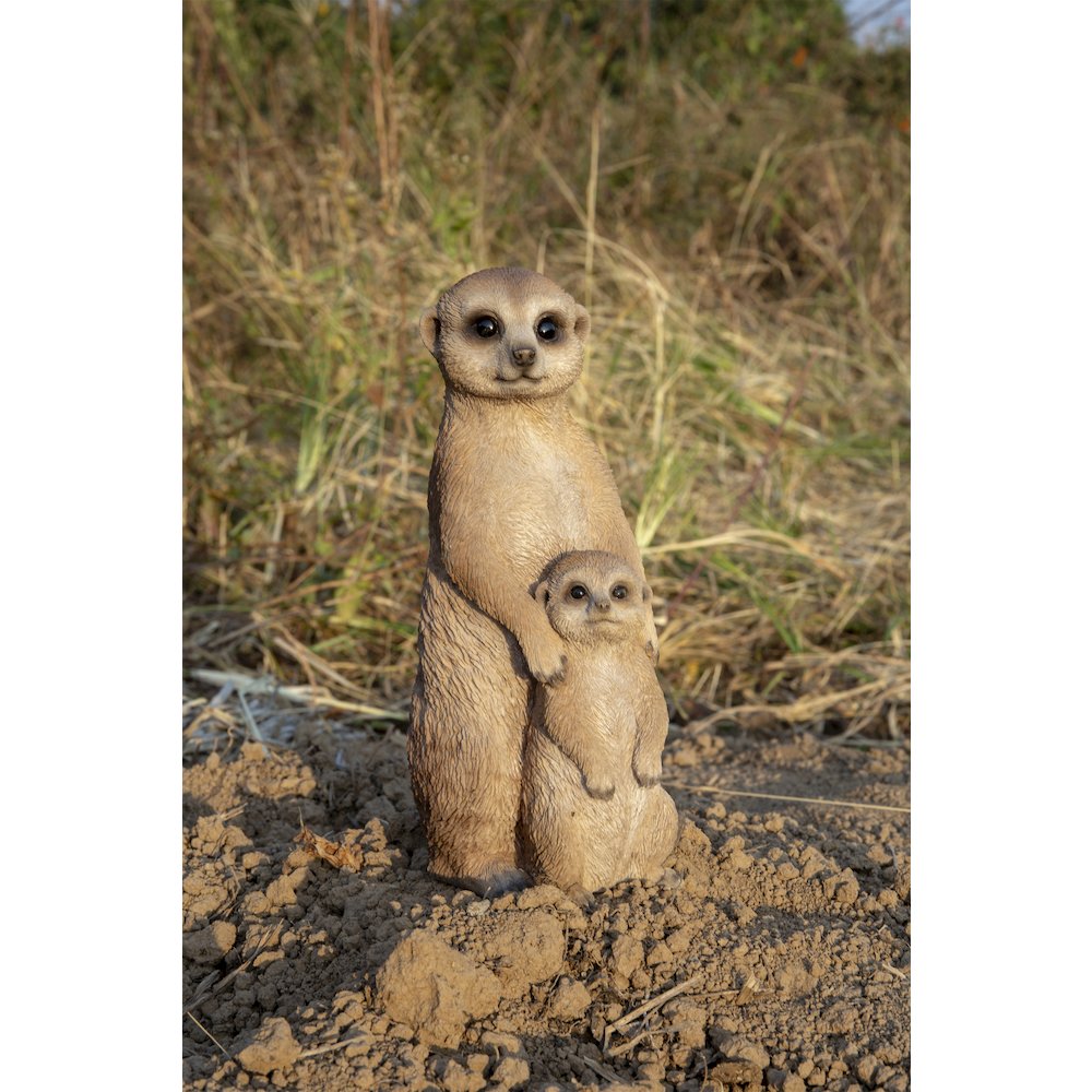 Small Mother & Baby Meerkat