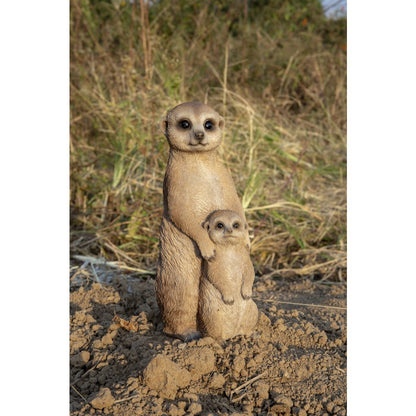 Small Mother & Baby Meerkat