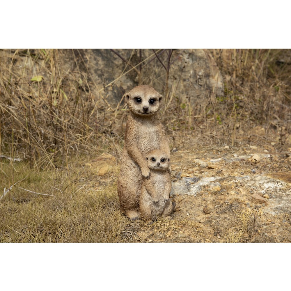Small Mother & Baby Meerkat