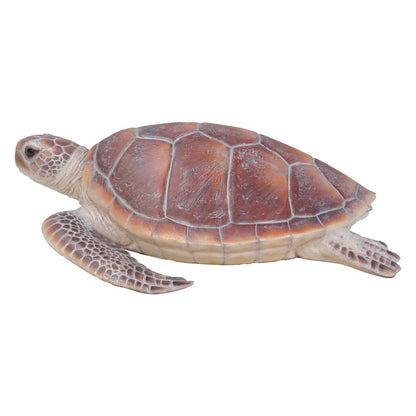 Large Sea Turtle
