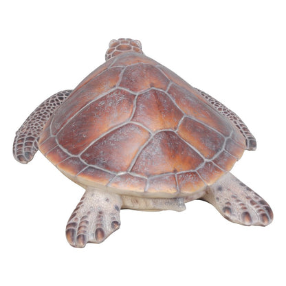 Large Sea Turtle