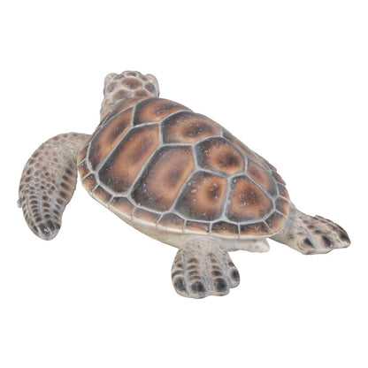Small Sea Turtle