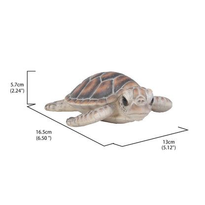 Small Sea Turtle