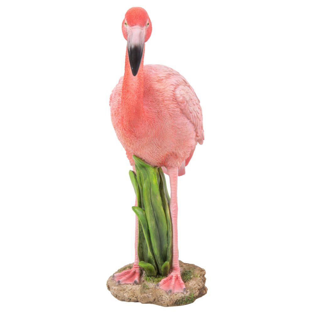 Flamingo Standing