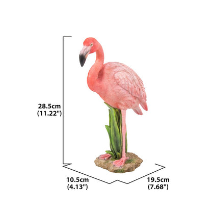 Flamingo Standing