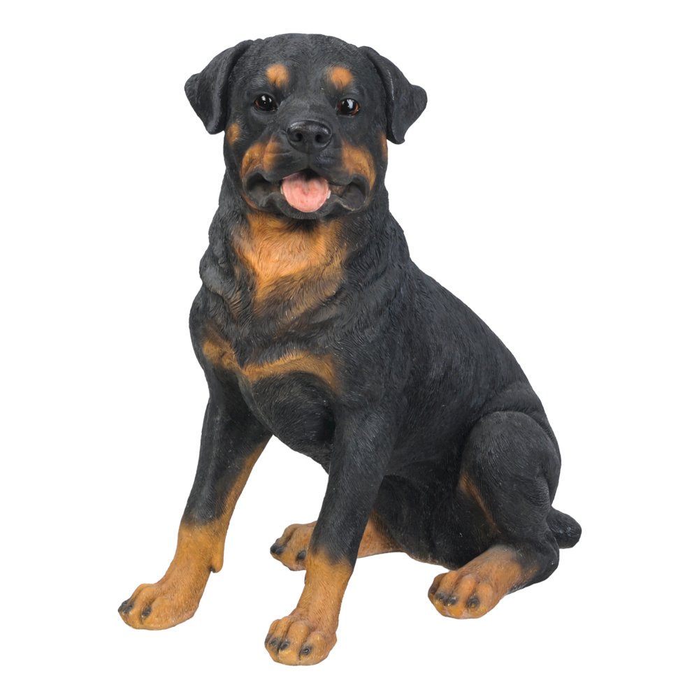 Rottweiler Sitting