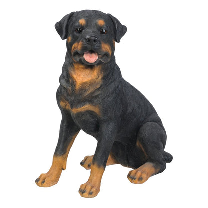 Rottweiler Sitting