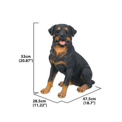 Rottweiler Sitting