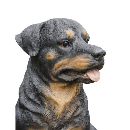 Rottweiler Sitting