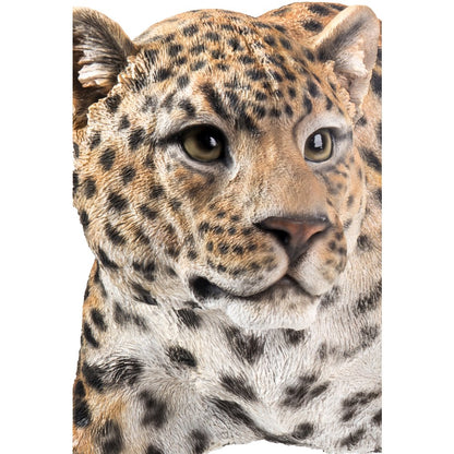 Leopard Stalking