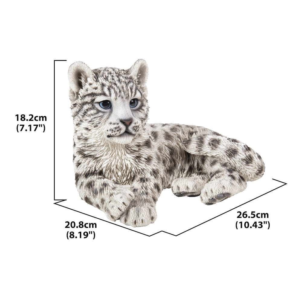Snow Leopard Cub