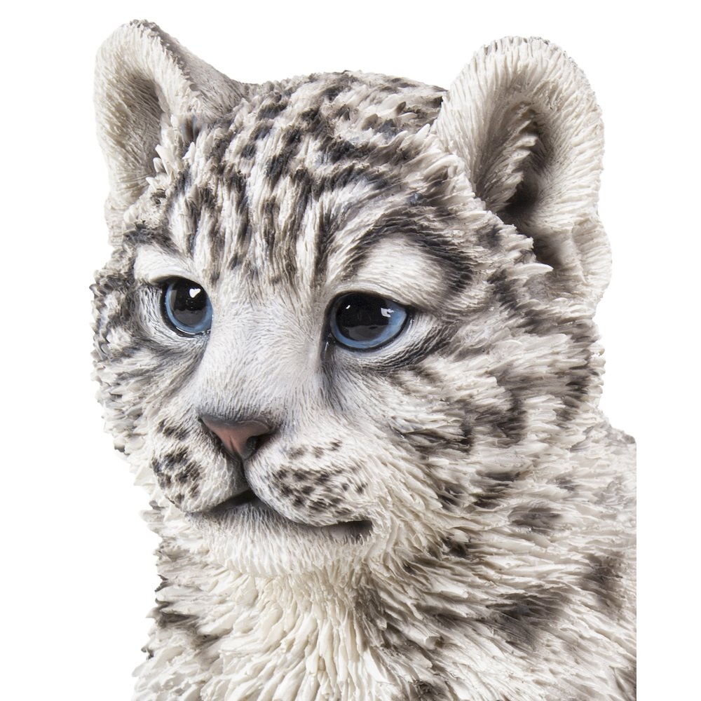 Snow Leopard Cub
