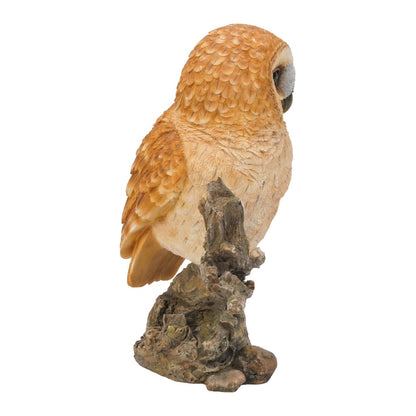 Tawny Owl On Stump