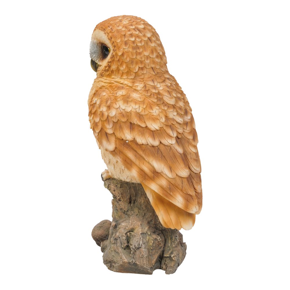 Tawny Owl On Stump