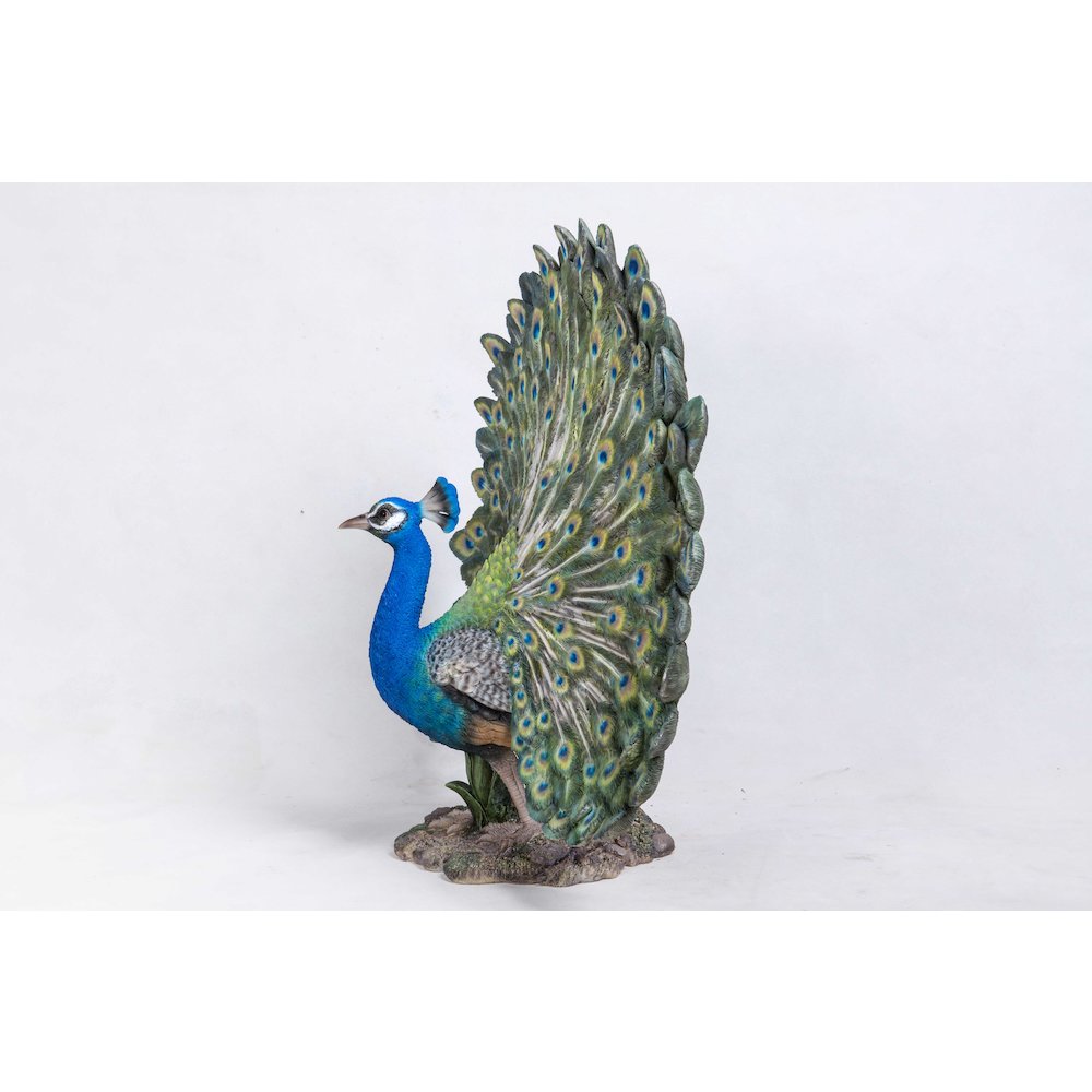 Peacock W/Feathers Out Statue