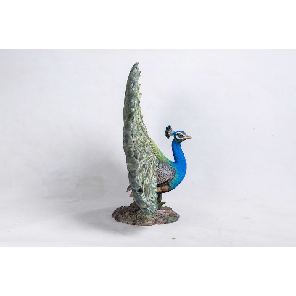 Peacock W/Feathers Out Statue