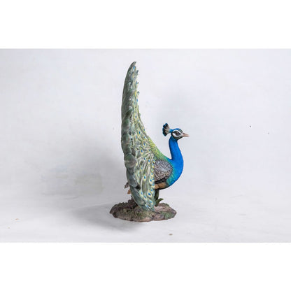 Peacock W/Feathers Out Statue