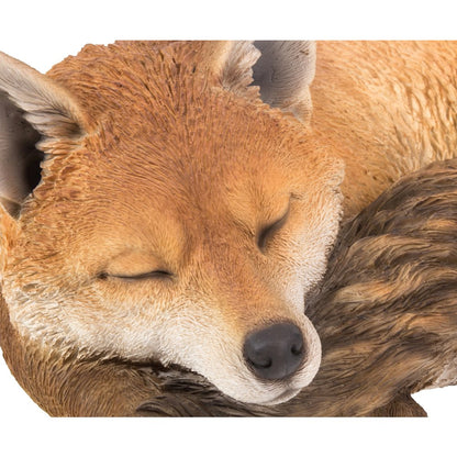 Fox Sleeping