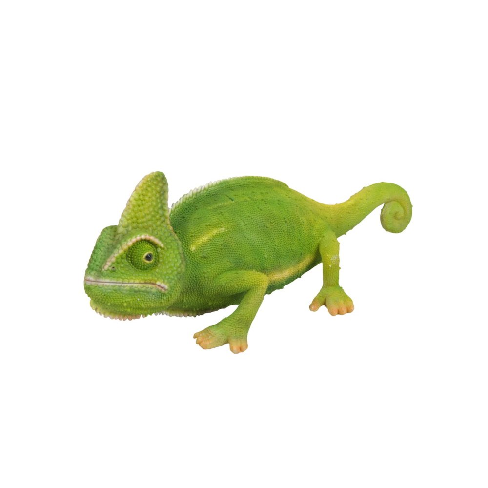 Cameleon