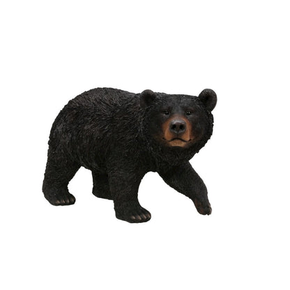 Black Bear Walking