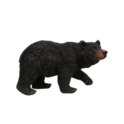 Black Bear Walking