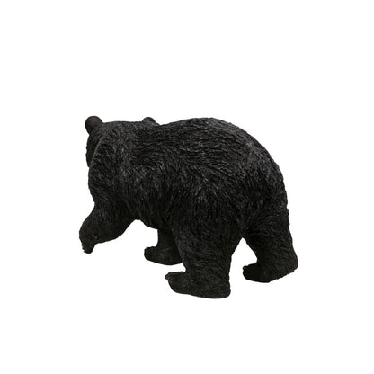 Black Bear Walking