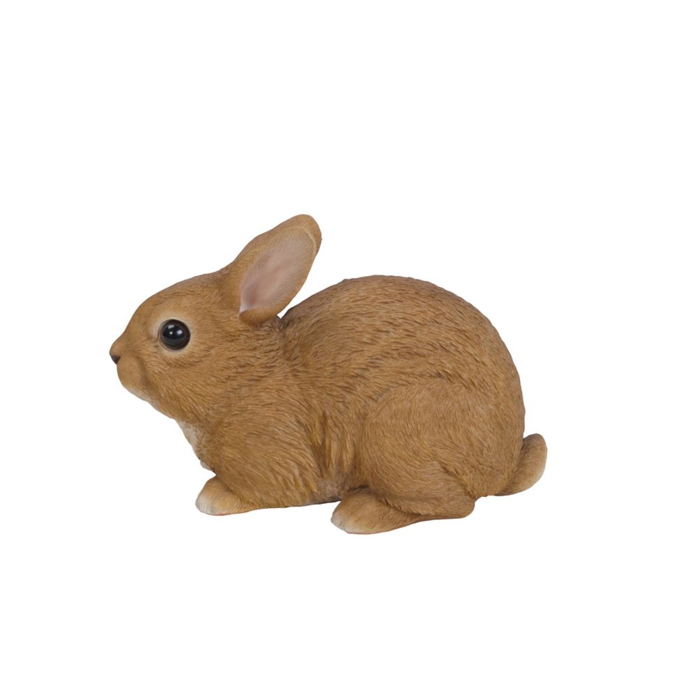 Sitting Rabbit