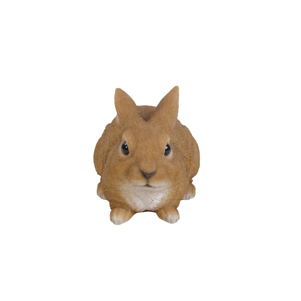 Sitting Rabbit