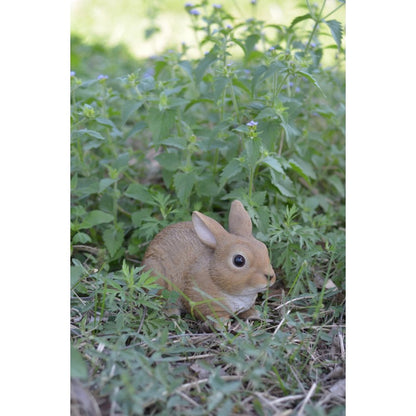 Sitting Rabbit