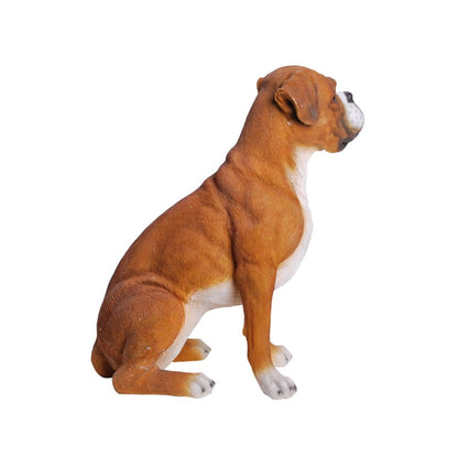 Sitting Boxer