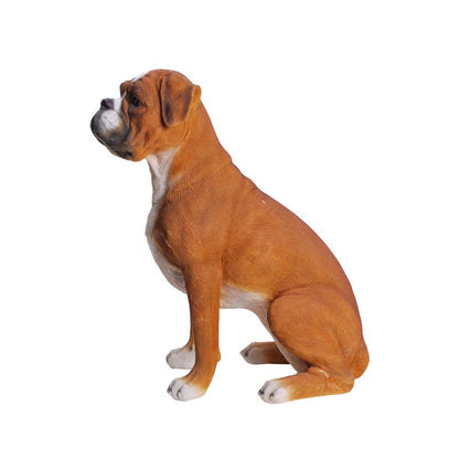 Sitting Boxer