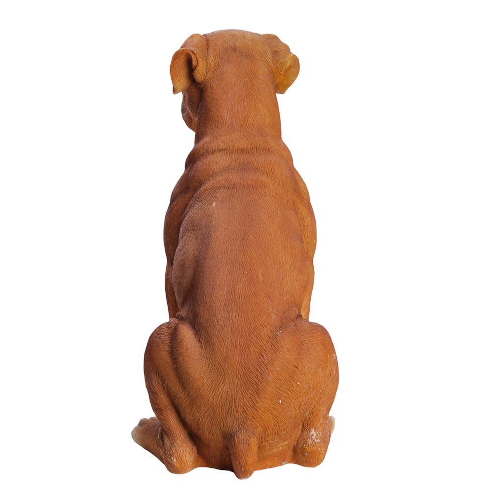 Sitting Boxer