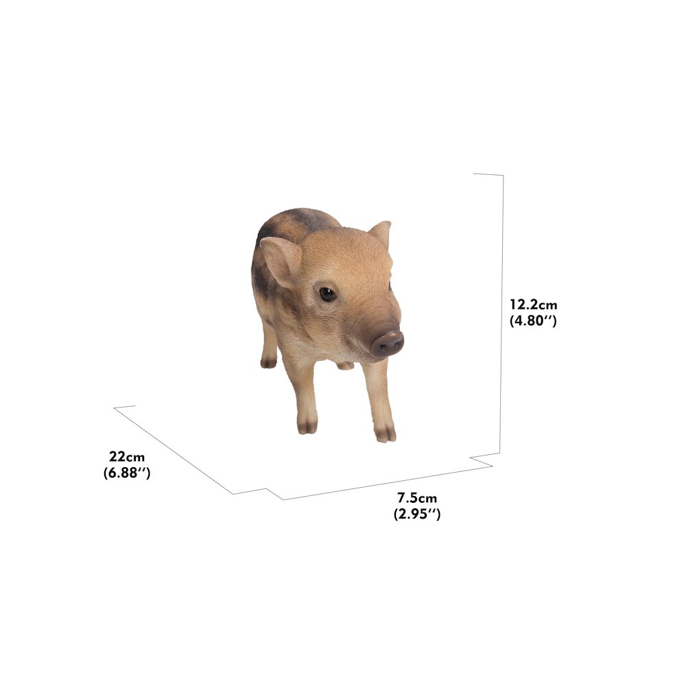 Wild Baby Boar Standing
