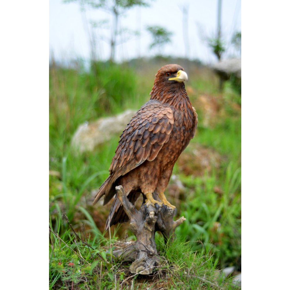 Golden Eagle