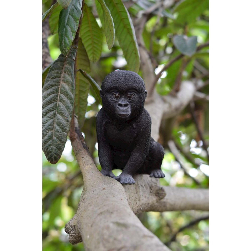 Gorilla Baby