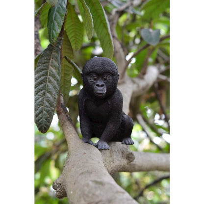 Gorilla Baby