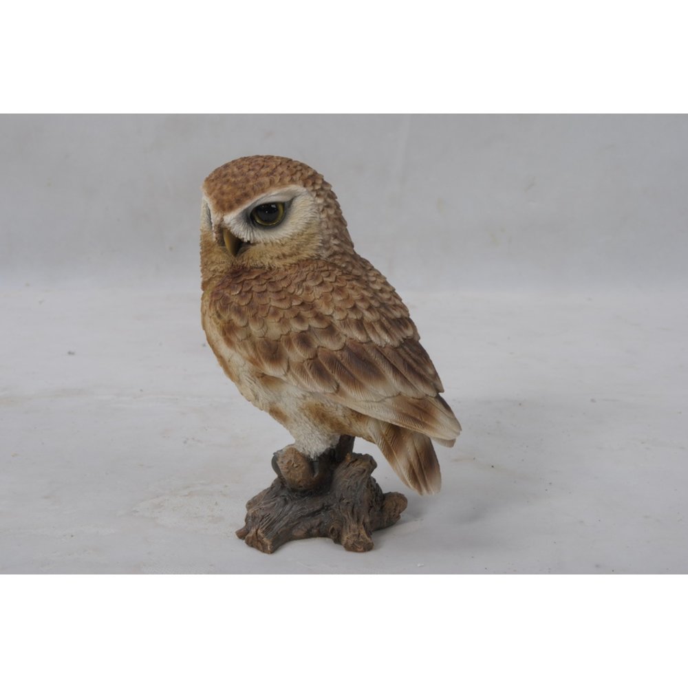 Small Brown Owl On Stump