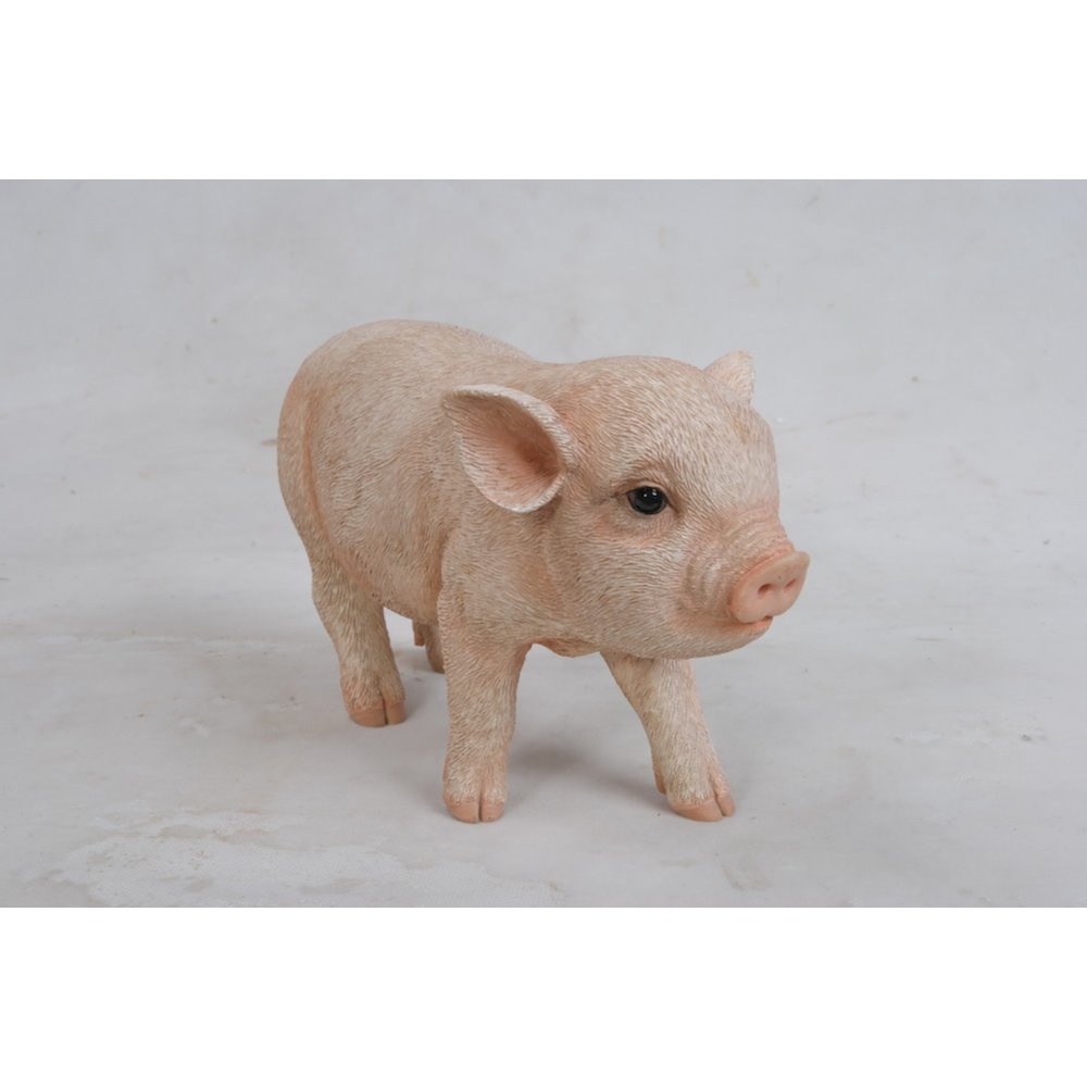 Standing Baby Pig