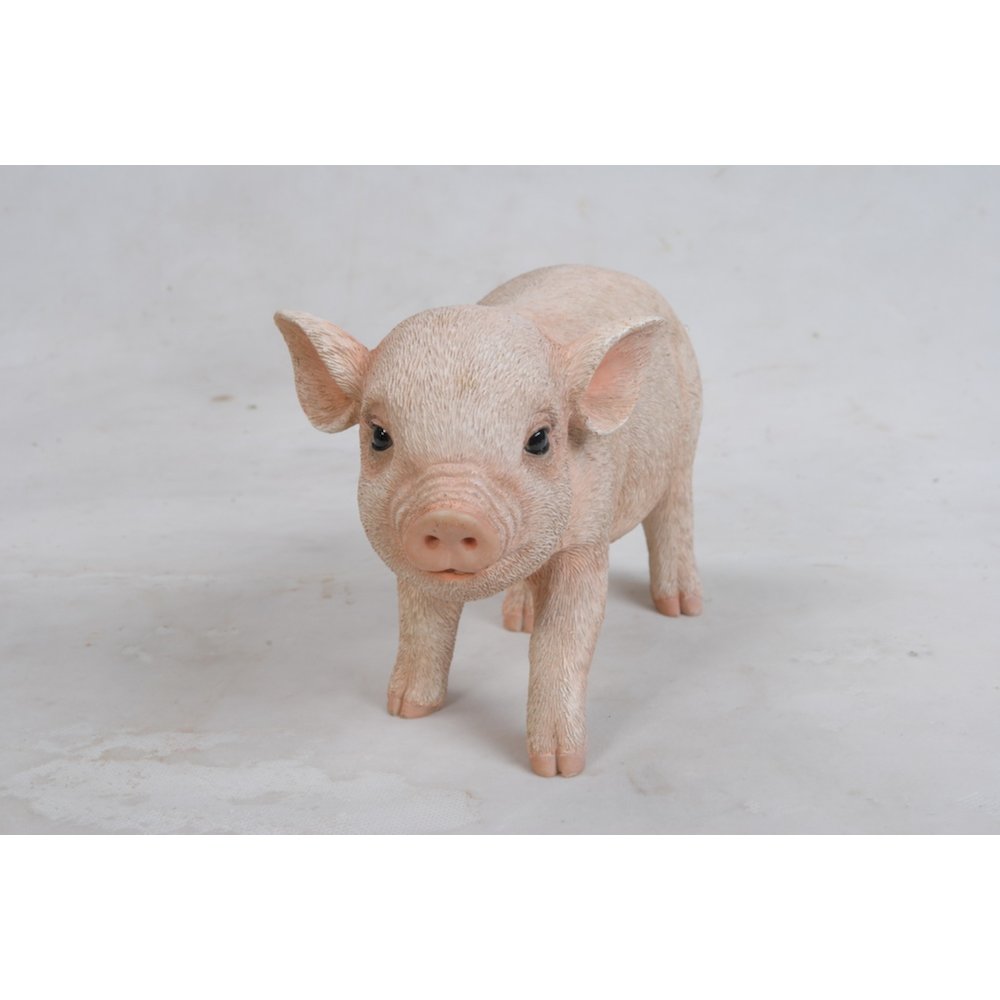 Standing Baby Pig