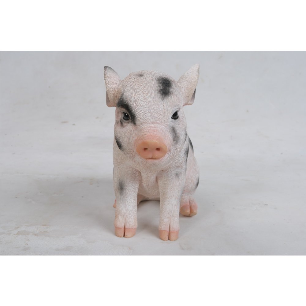 Sitting Baby Pig W/Black Spots