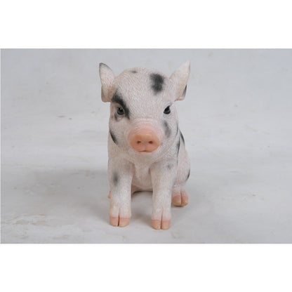 Sitting Baby Pig W/Black Spots