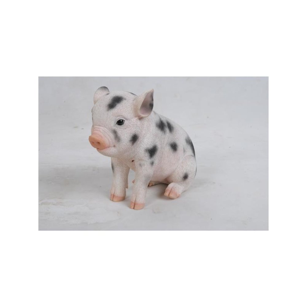 Sitting Baby Pig W/Black Spots