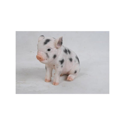 Sitting Baby Pig W/Black Spots