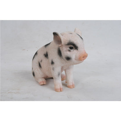 Sitting Baby Pig W/Black Spots
